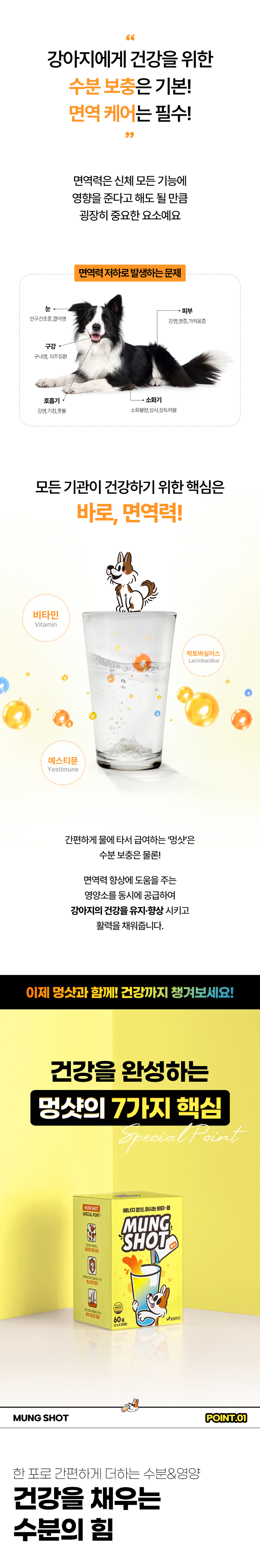 [NEW신상][무료배송] 마시는 비타 뮨 멍샷 30포 5번째