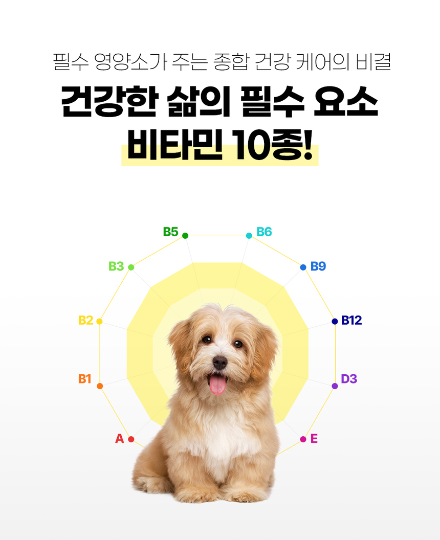 [NEW신상][무료배송] 마시는 비타 뮨 멍샷 30포 11번째
