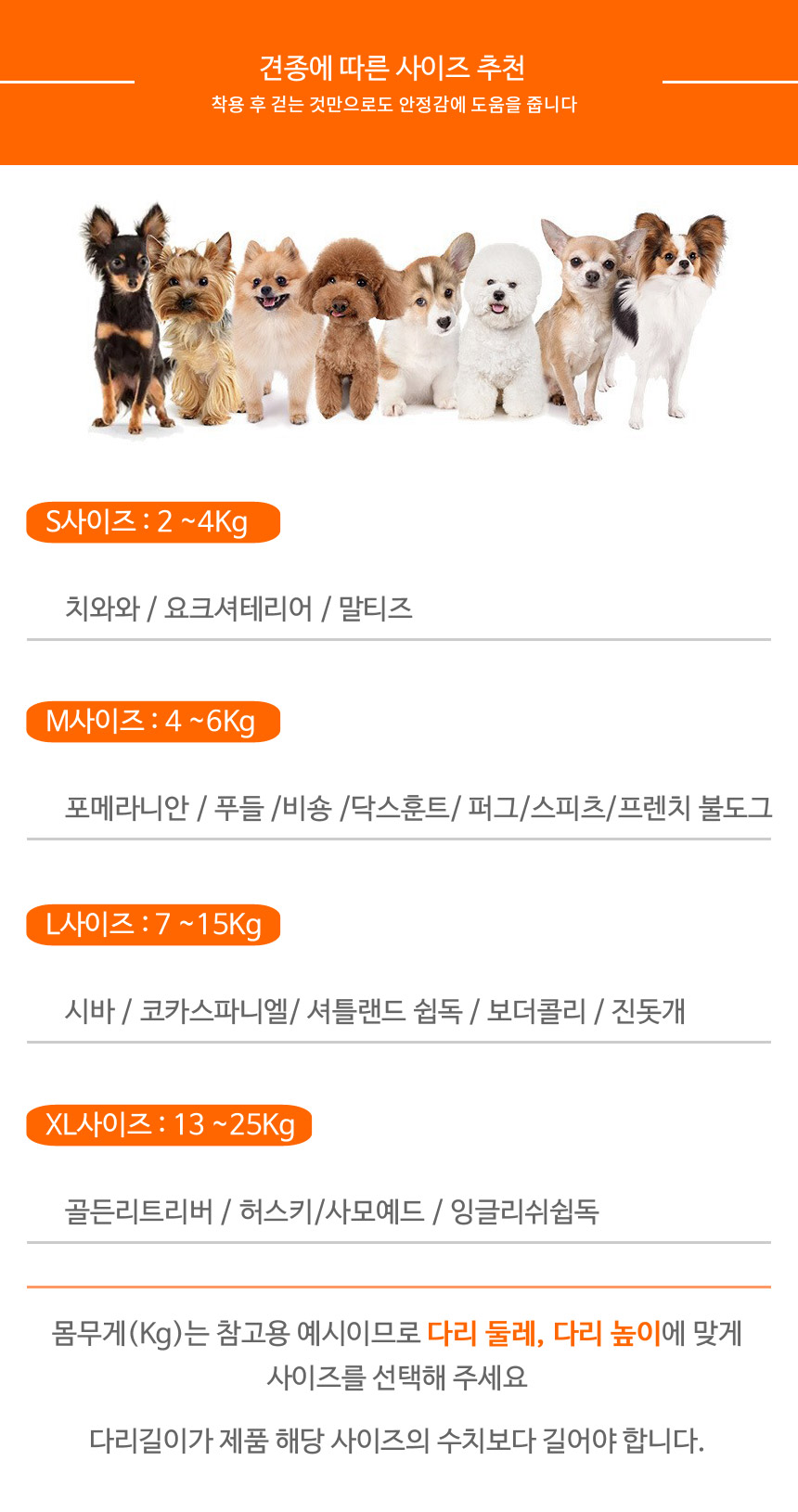 [무료배송] 아임펫벳 슬개골 탈구 보호대  IMPET-S1 7번째