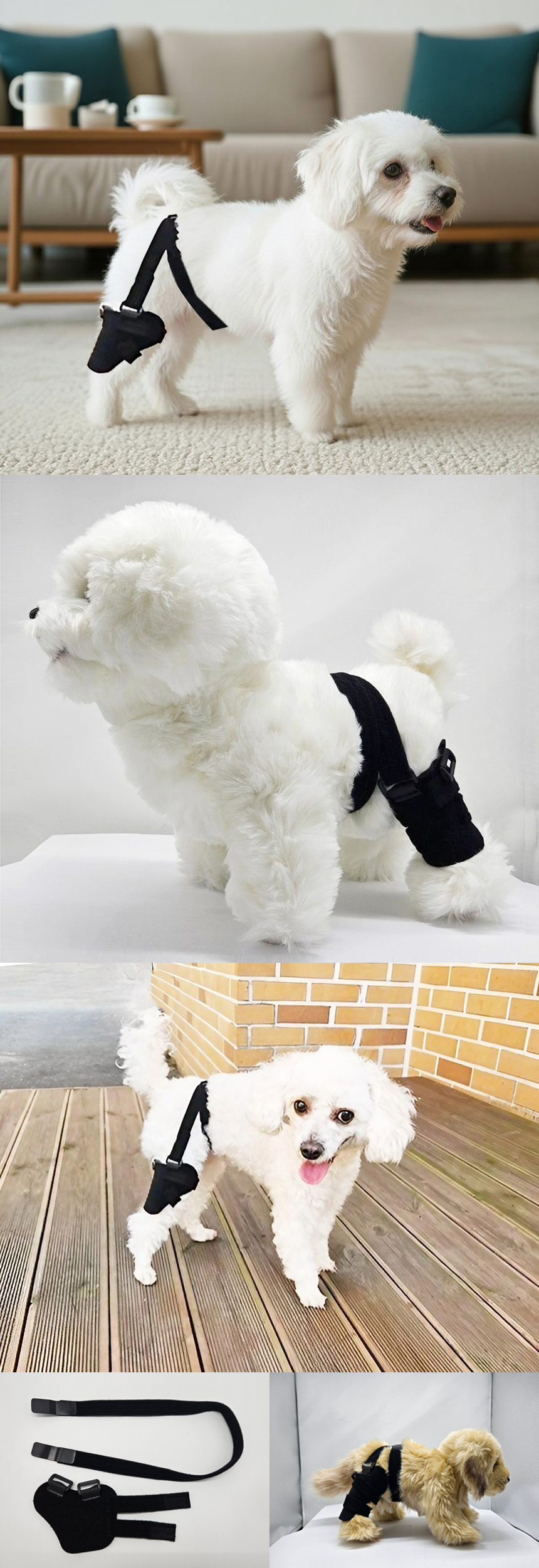 [무료배송] 아임펫벳 슬개골 탈구 보호대  IMPET-S1 3번째