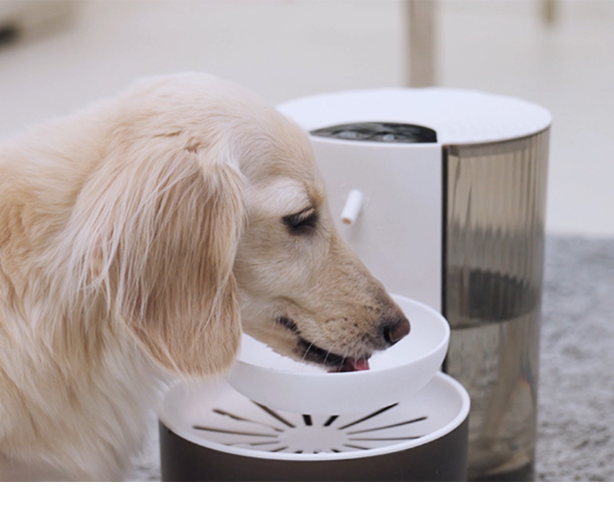 [NEW신상][무료배송] 보니렌 에버샘 필터제로 무선 자동급수기 7번째