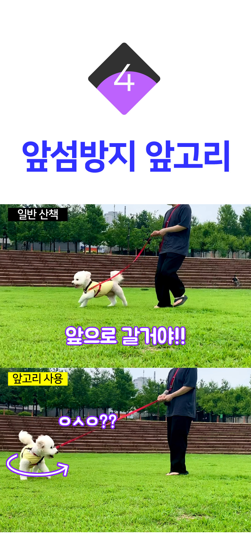 [무료배송] 멍템 방수 하네스 네온옐로/네온오렌지/방수그린/방수블루/방수블랙 XXS-XL 12번째