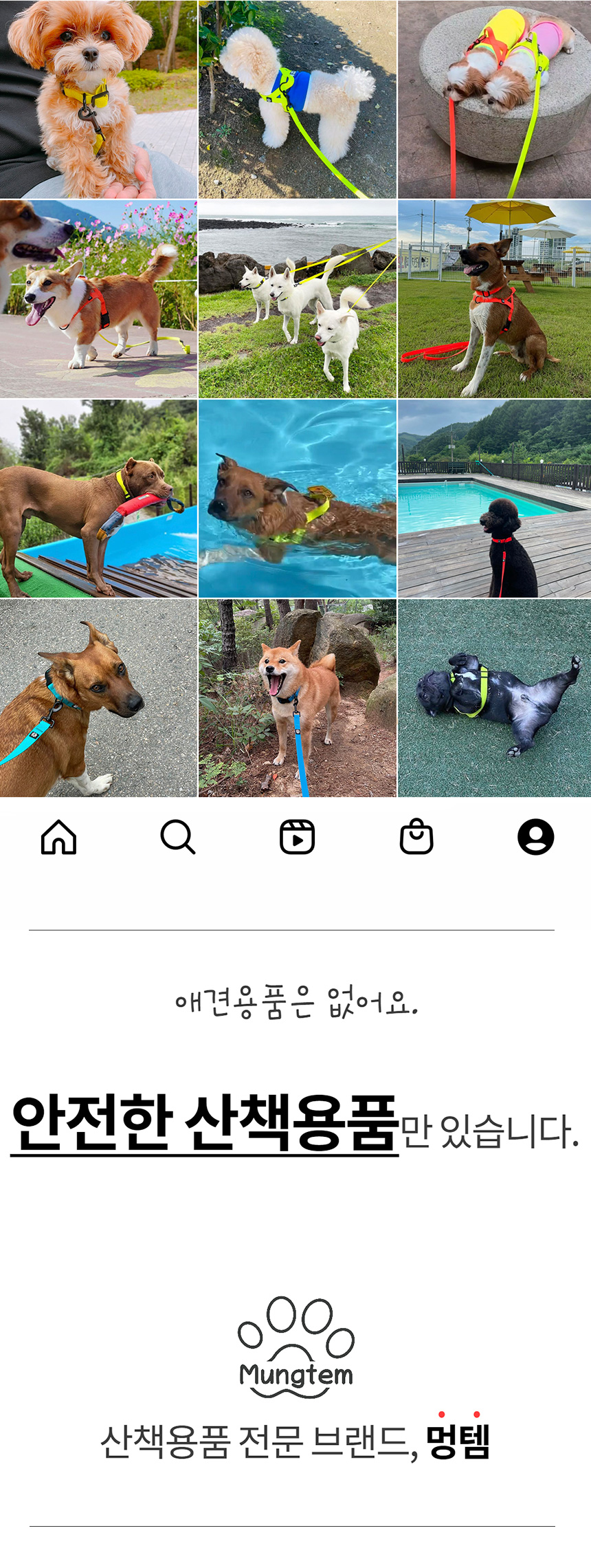 [무료배송] 멍템 방수 하네스 네온옐로/네온오렌지/방수그린/방수블루/방수블랙 XXS-XL 2번째