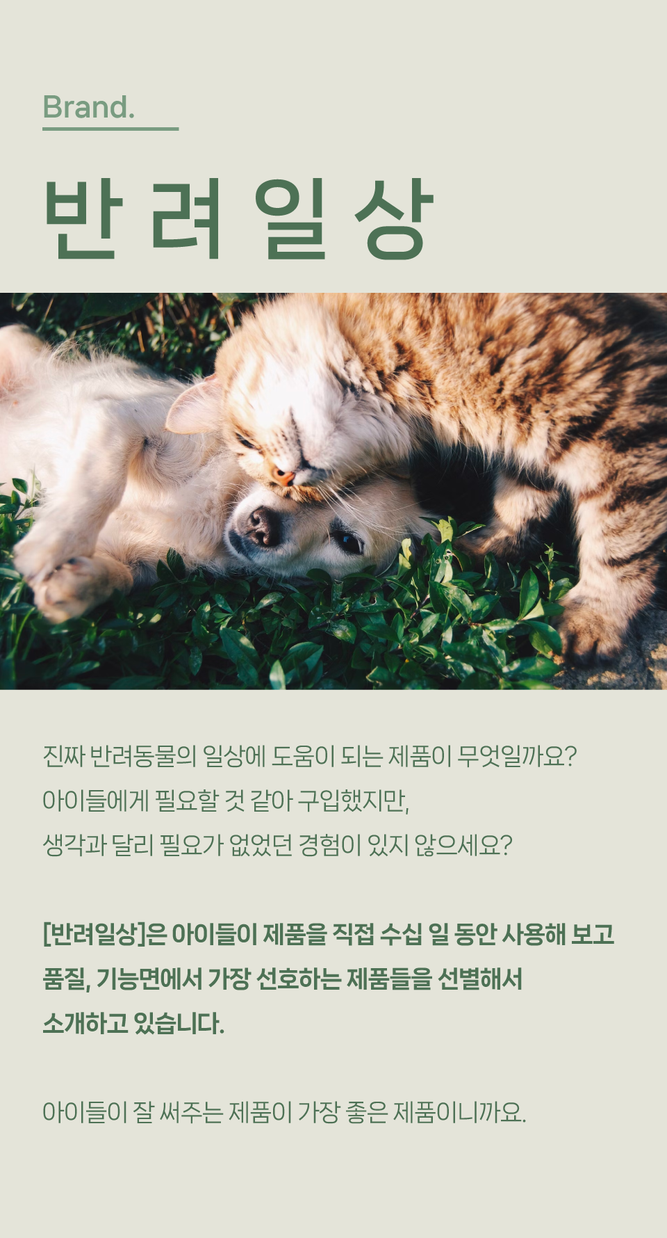 [창고대방출] 반려일상 데일리식기 크림화이트 S/L 1번째