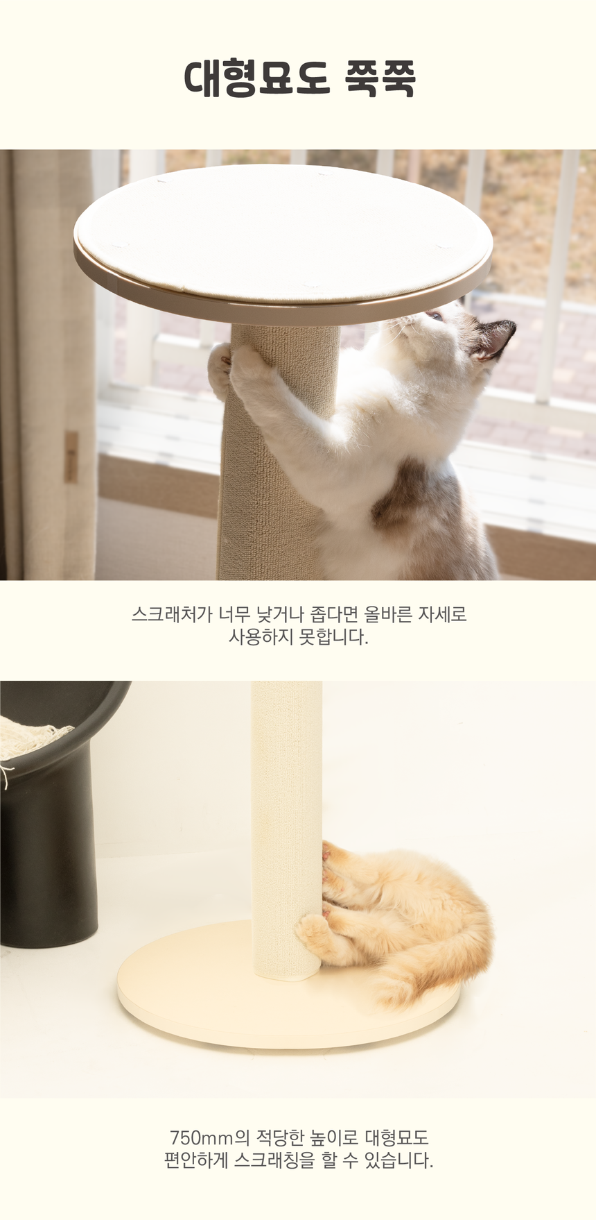 [무료배송] 그린웨일 캣 1단 사이드 스크래쳐 크림아이보리/소프트민트/시티그레이 4번째