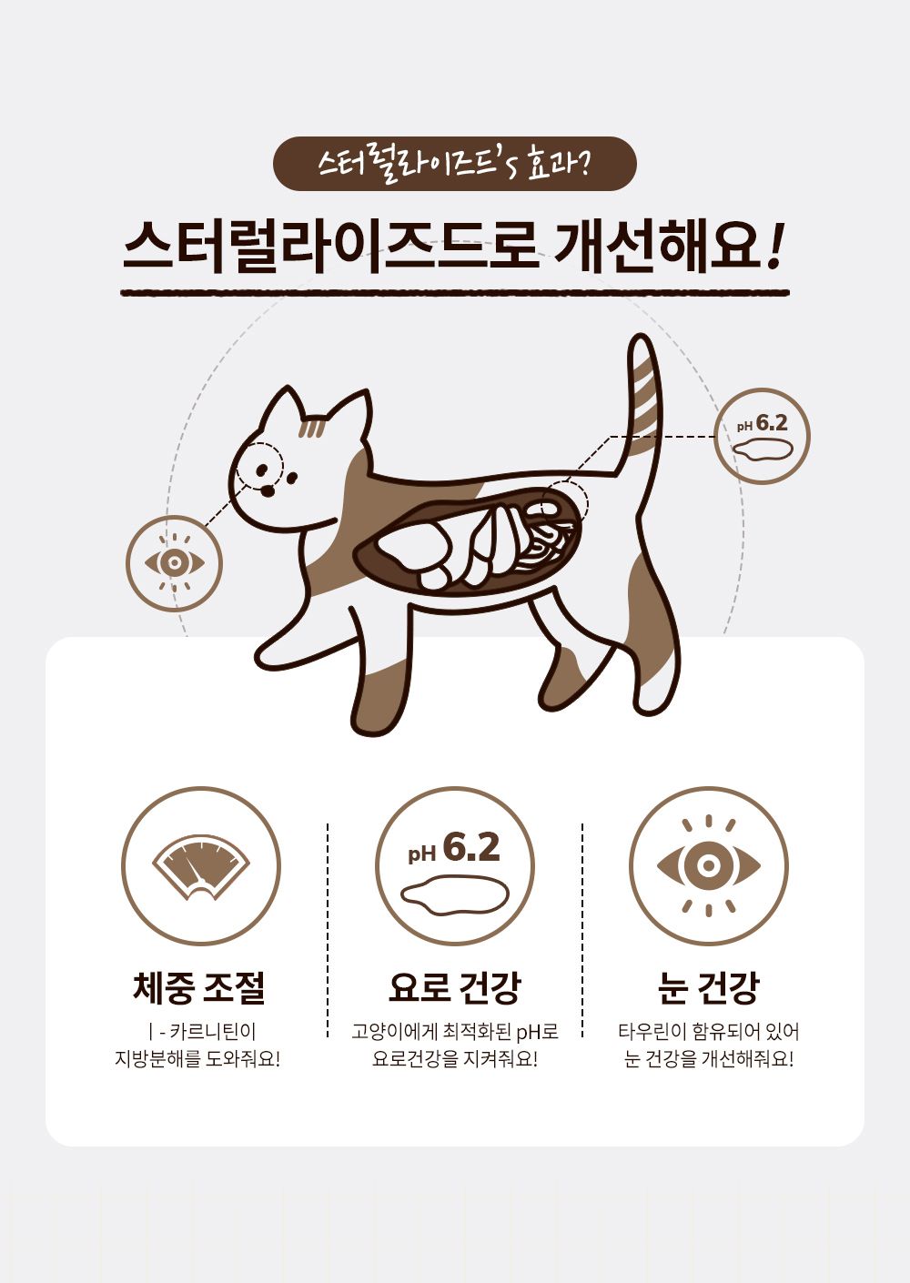 후새 캣 스테럴라이즈드 다이어트 1.36kg 3번째