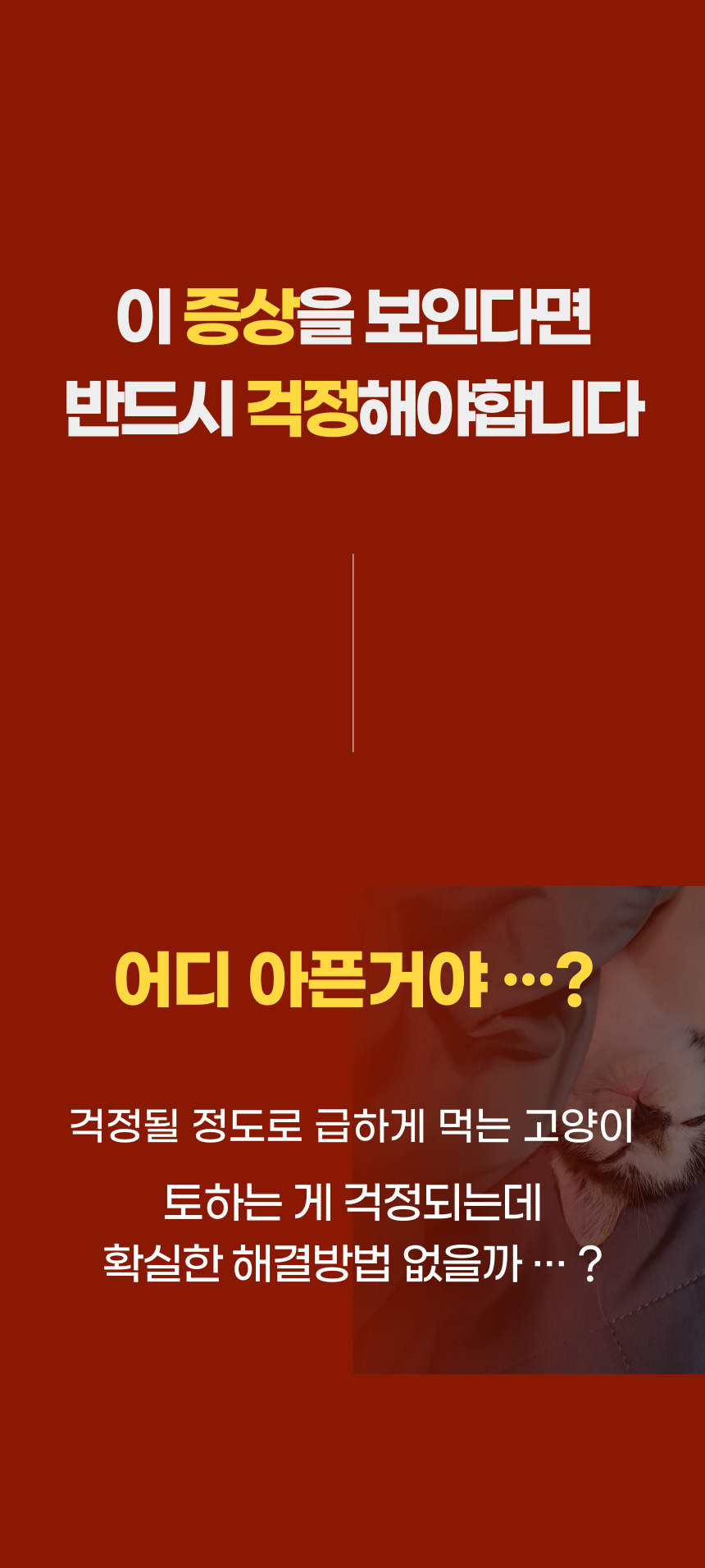 [무료배송] 알뜰펫 급체방지식기 옐로우/블루 1번째