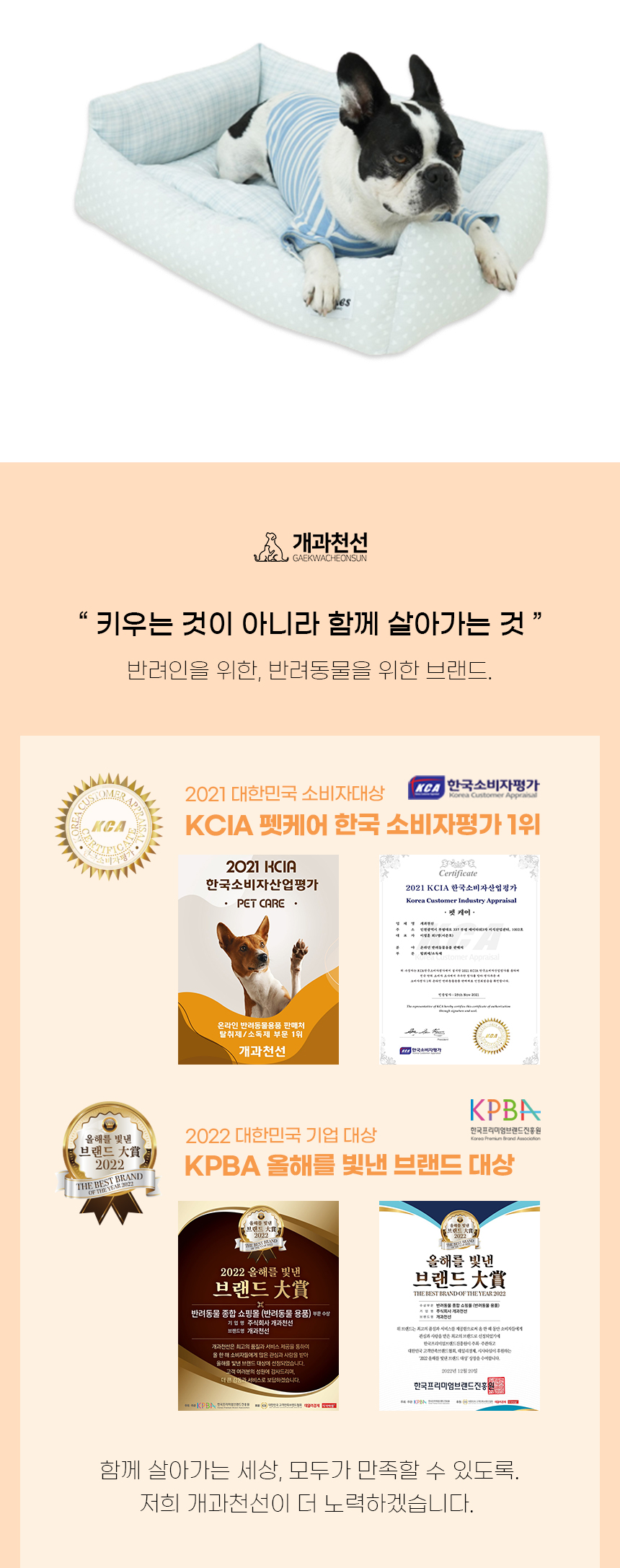[NEW신상][무료배송] 개과천선 와리느 방석 (스카이 블루/핑크/그레이) 3번째
