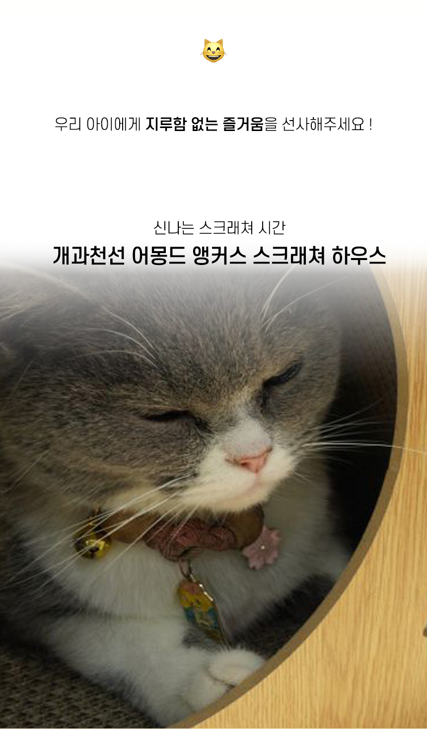 [NEW신상][무료배송] 개과천선 캣 어몽드 앵커스 스크래쳐 하우스 2번째