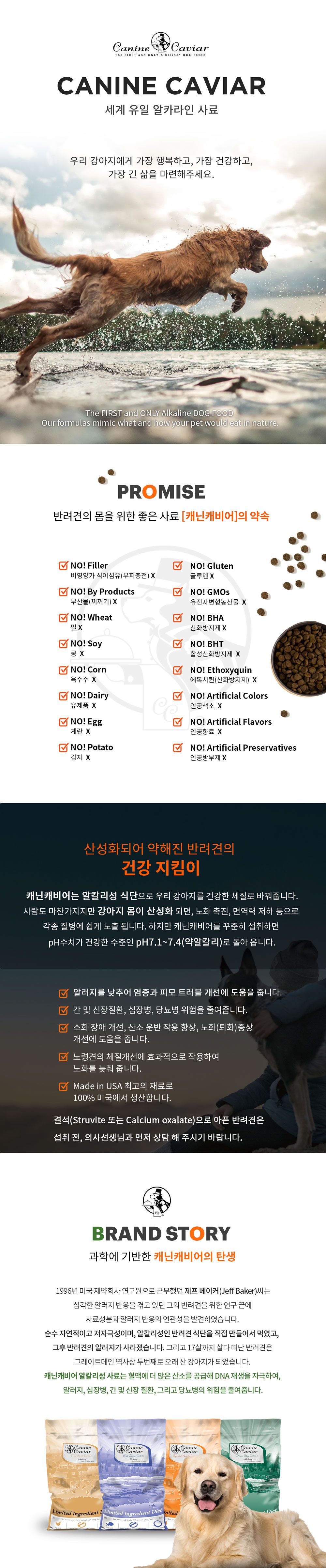 [유통기한임박, 4월1일] 캐닌캐비어 독 스페셜니즈 시니어 미디움브리드 2kg 1번째