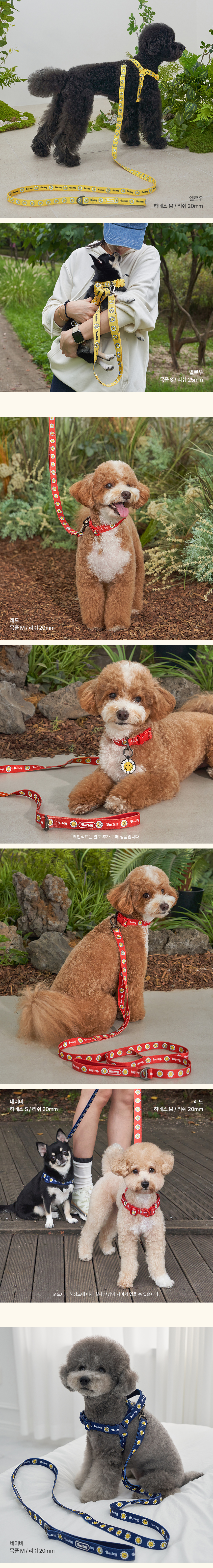 [NEW신상][무료배송] 베일리펫 강아지 산책 소형견 중형견 데이지 워키 리드줄  20mm/25mm (옐로우/그린/네이비/레드) 5번째