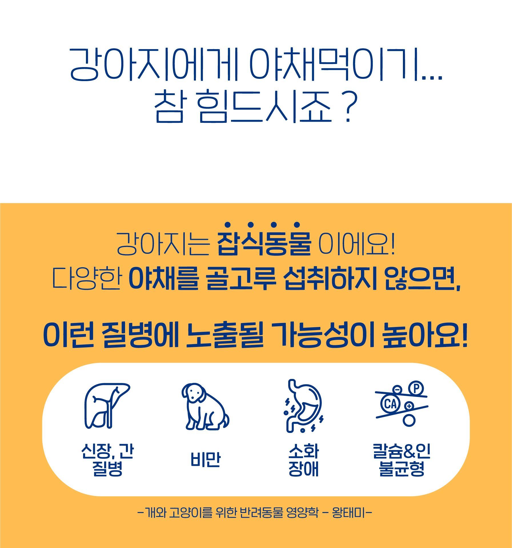 [무료배송] 슈퍼포우 독 동결건조 오리후레이크 180g 18번째