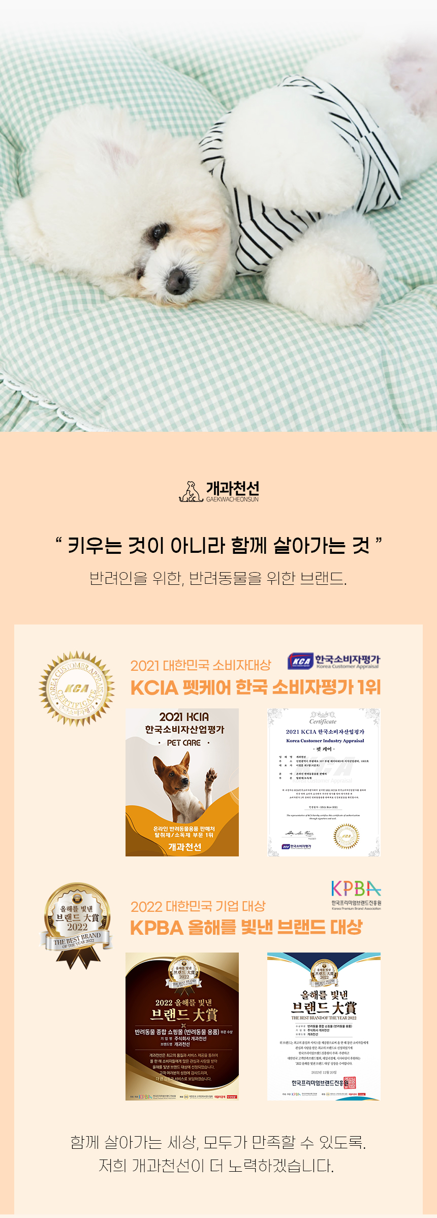 [NEW신상][무료배송] 개과천선 프린 방석 (핑크/그린) 3번째