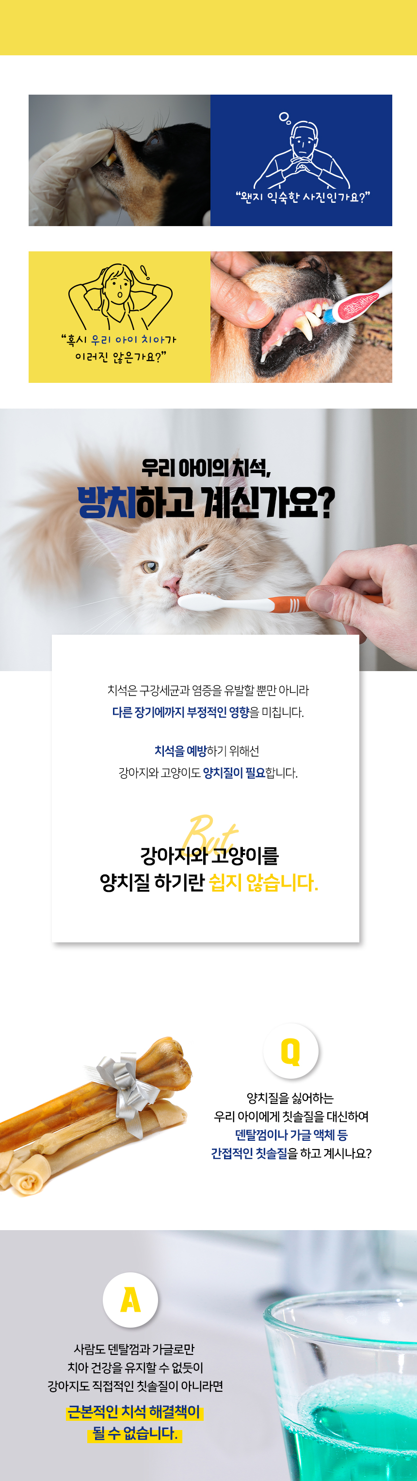 [무료배송] 이지브러쉬 칫솔 옐로우/그린/블루/피치 2번째