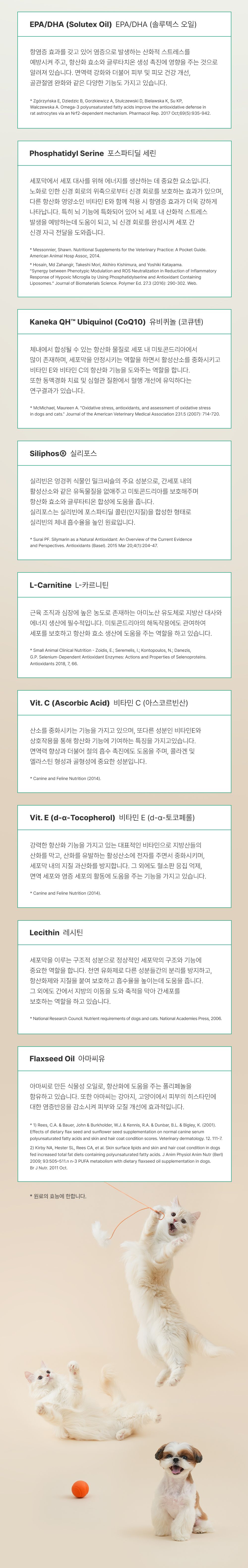 [NEW신상]조공 보타닉 60캡슐 12번째