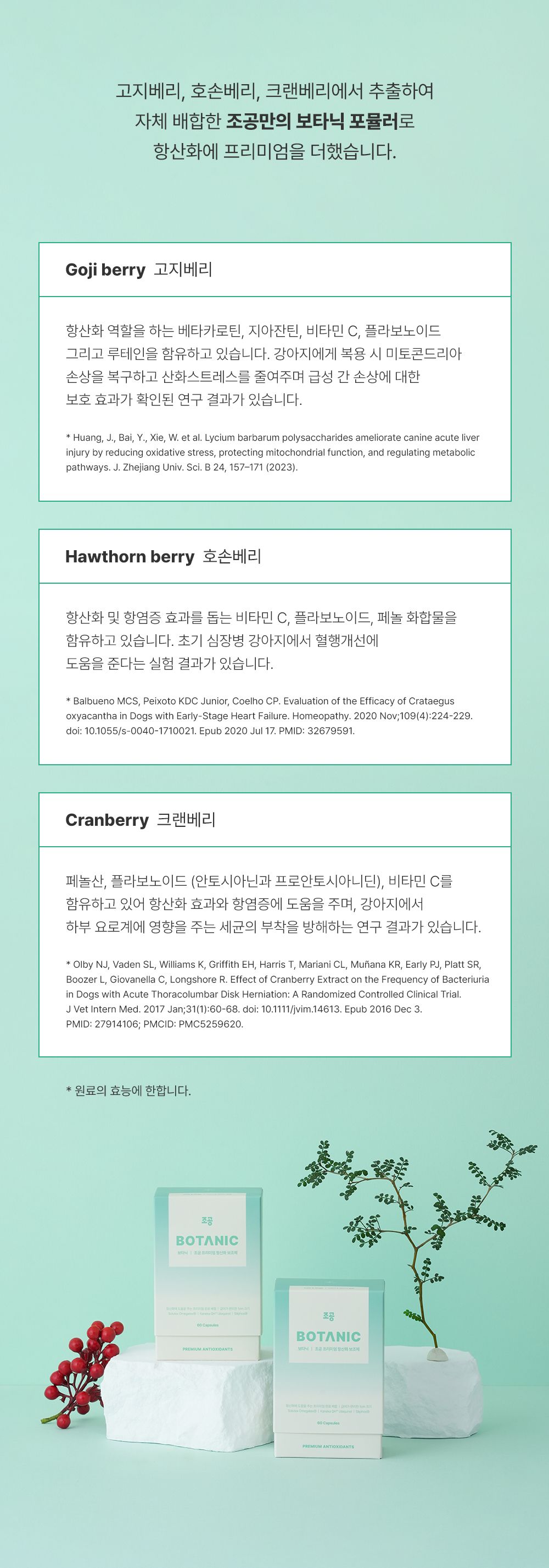 [NEW신상]조공 보타닉 60캡슐 14번째