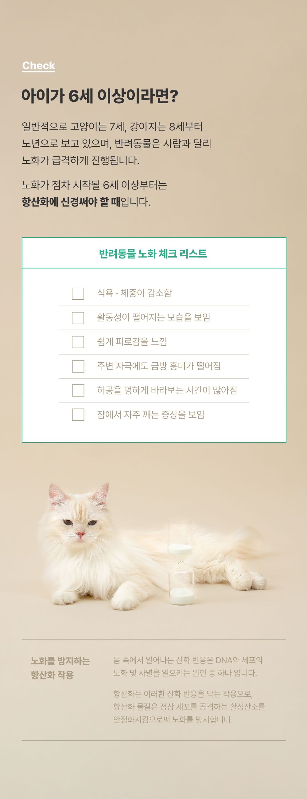 [NEW신상]조공 보타닉 60캡슐 8번째