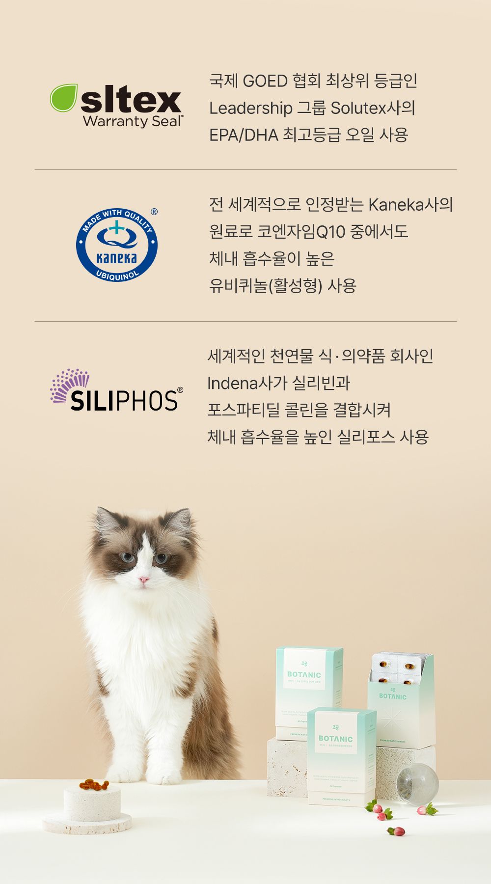 [NEW신상]조공 보타닉 60캡슐 10번째