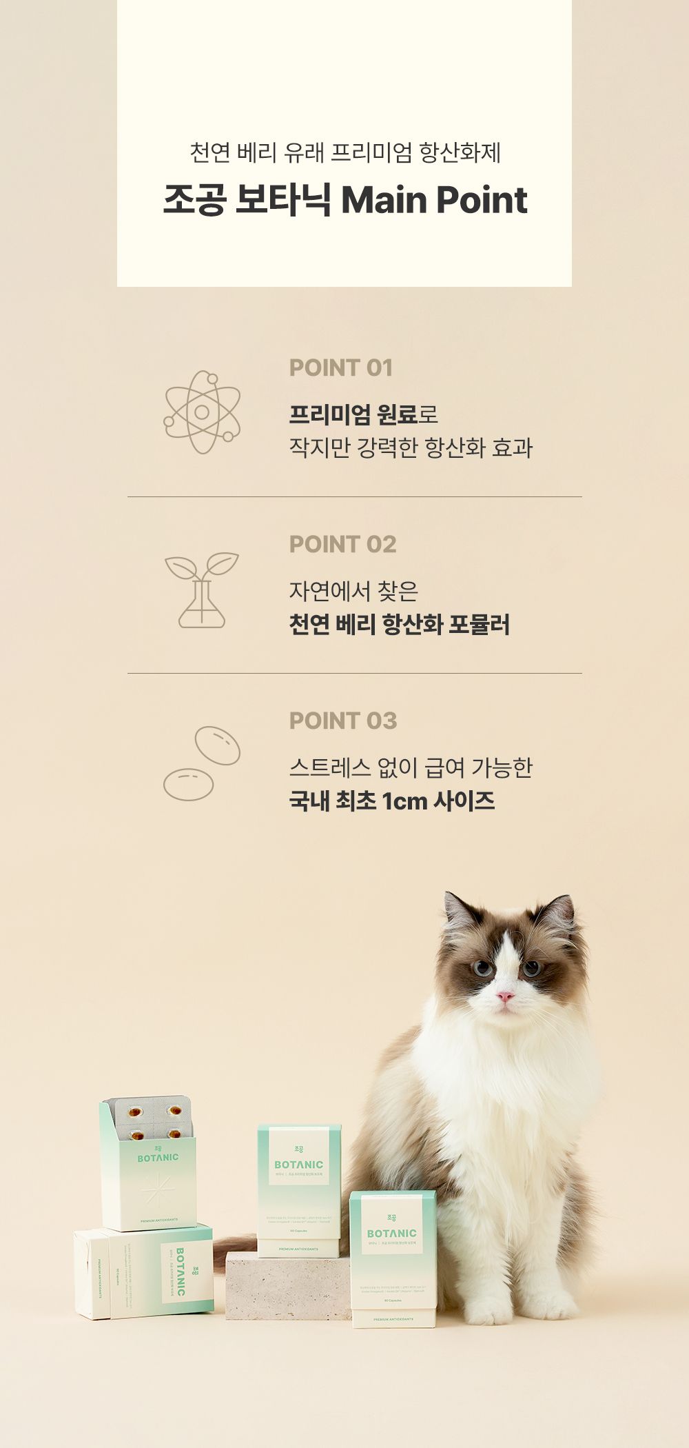 [NEW신상]조공 보타닉 60캡슐 7번째