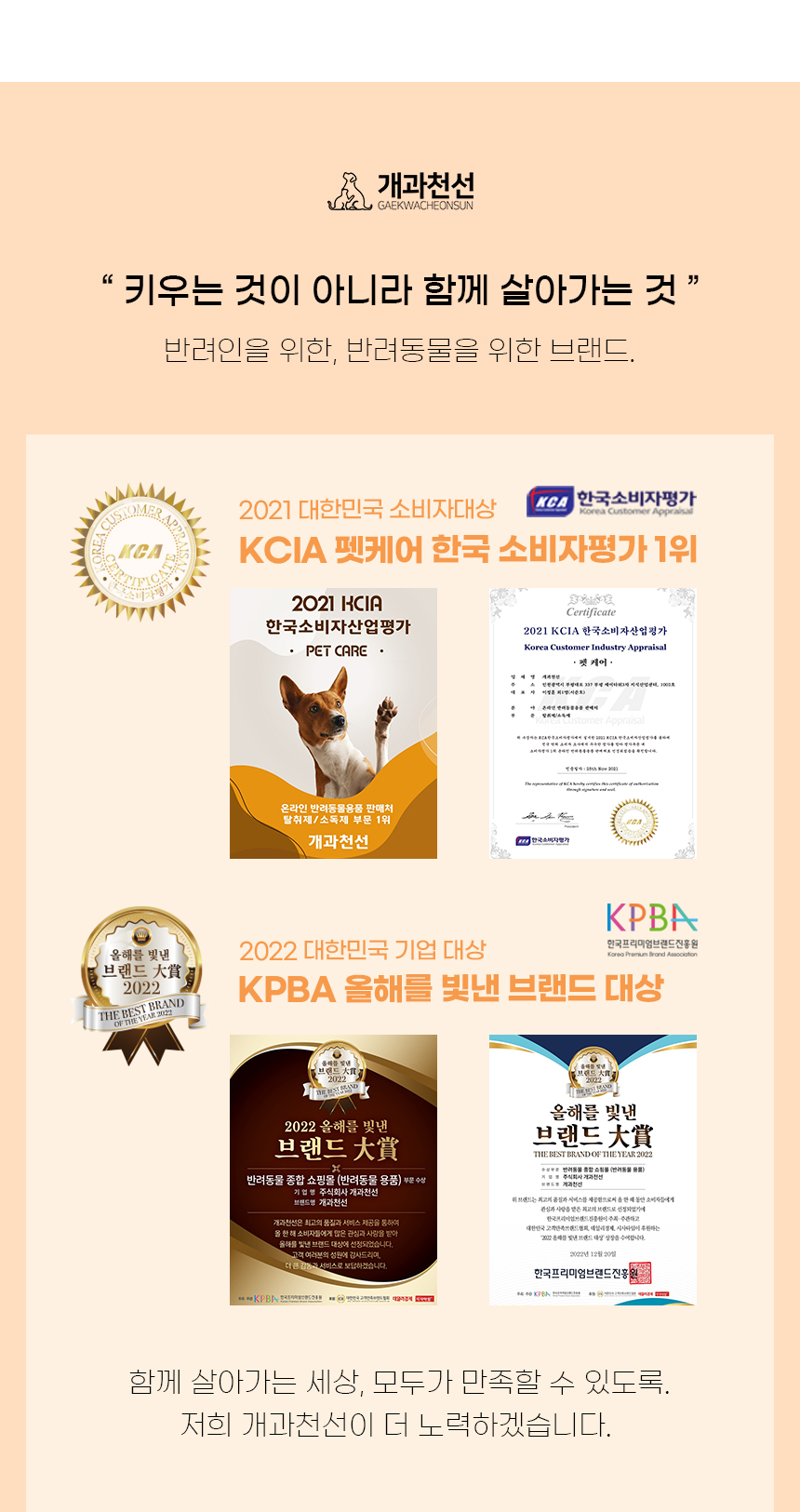 [NEW신상][무료배송] 개과천선 D 이르 방석 (그레이/핑크/아이보리) 2번째