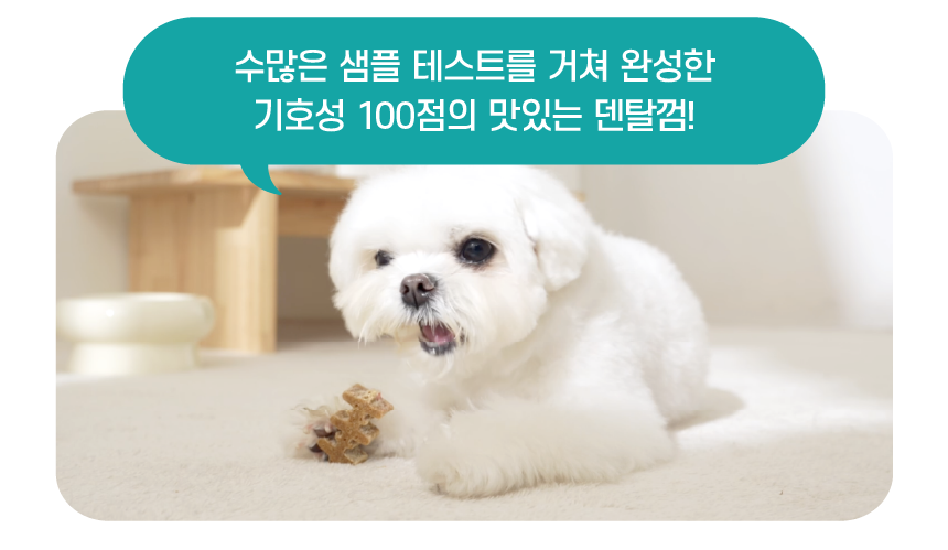 [무료배송] 빌리스벳 프로바이츄 덴탈 180g 3번째