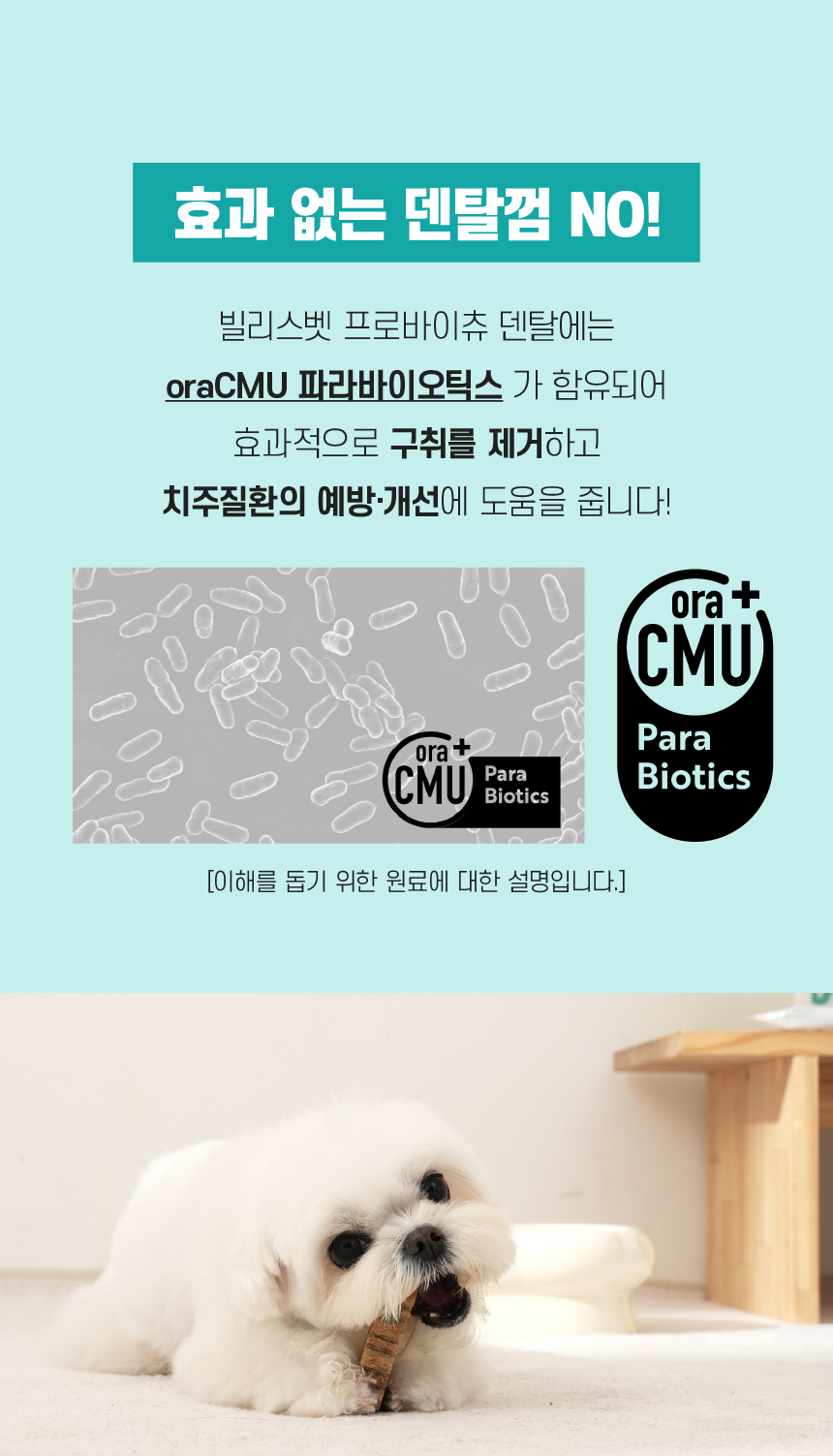 [무료배송] 빌리스벳 프로바이츄 덴탈 180g 8번째