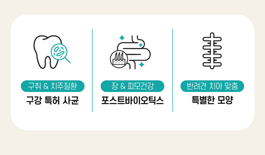 [무료배송] 빌리스벳 프로바이츄 덴탈 180g 5번째