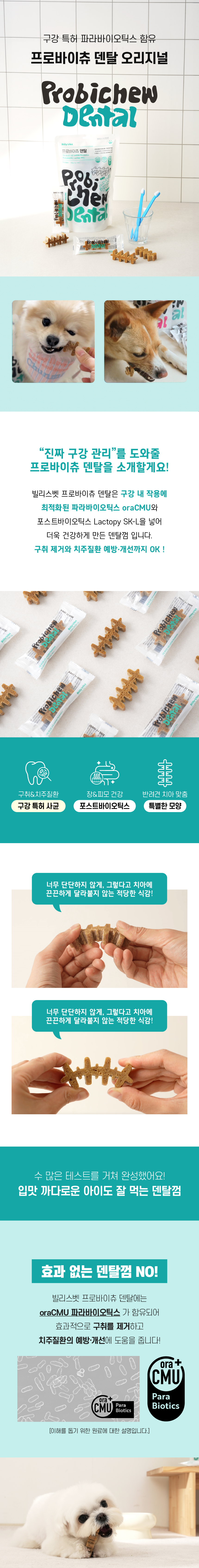 [무료배송] 빌리스벳 프로바이츄 덴탈 180g 1번째