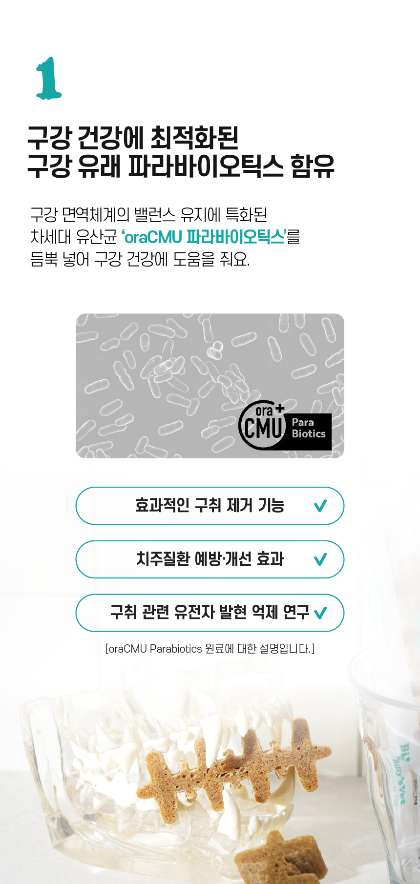 [무료배송] 빌리스벳 프로바이츄 덴탈 180g 10번째