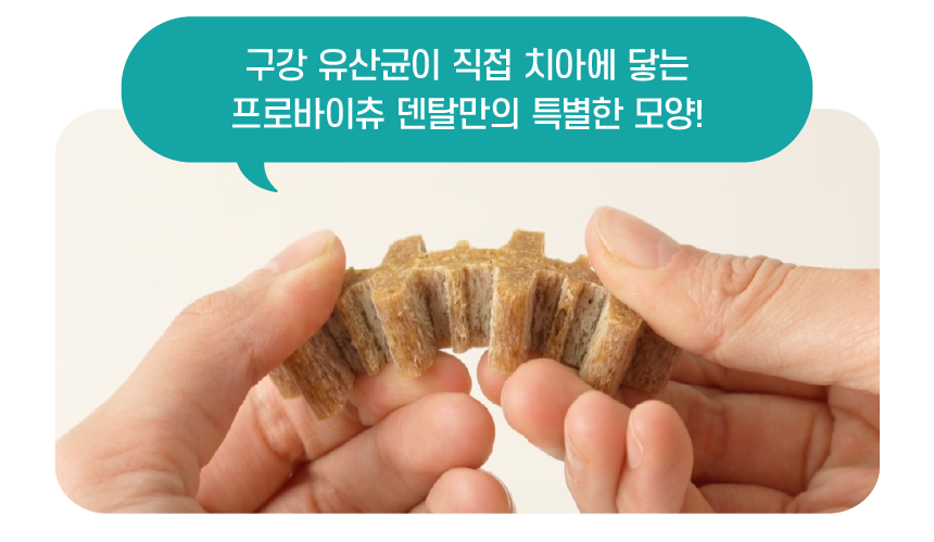 [무료배송] 빌리스벳 프로바이츄 덴탈 180g 2번째