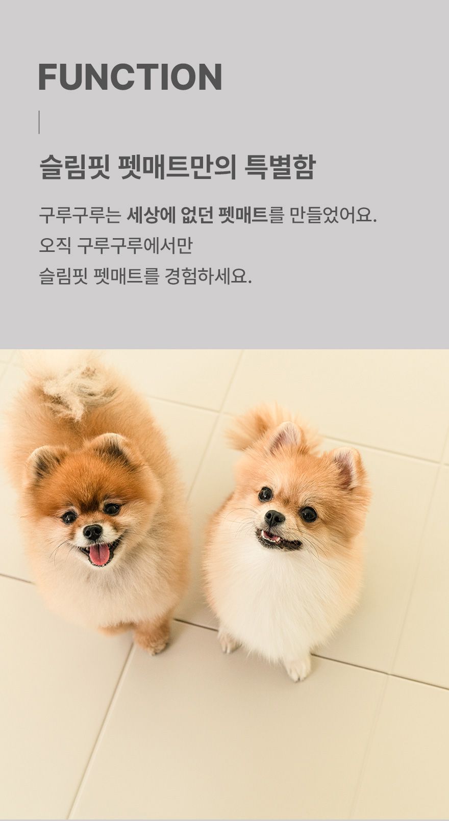 [무료배송] 구루구루 슬림핏 펫 매트 폴딩형 크림/코코아 11번째