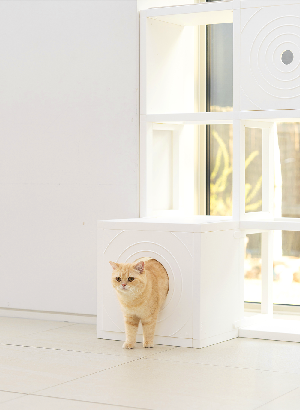 [NEW신상][무료배송] 큐빅스펫 고양이 타워 2x4 멀티 B+ 커버 세트 6color  +스크래쳐1장 포함 42번째