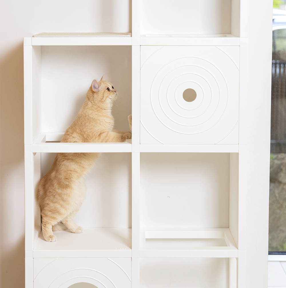 [NEW신상][무료배송] 큐빅스펫 고양이 타워 2x4 멀티 B+ 커버 세트 6color  +스크래쳐1장 포함 22번째