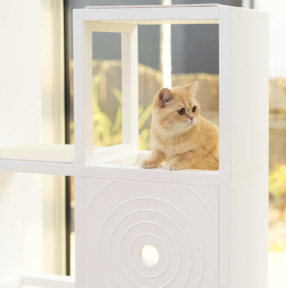 [NEW신상][무료배송] 큐빅스펫 고양이 타워 2x4 멀티 B+ 커버 세트 6color  +스크래쳐1장 포함 21번째