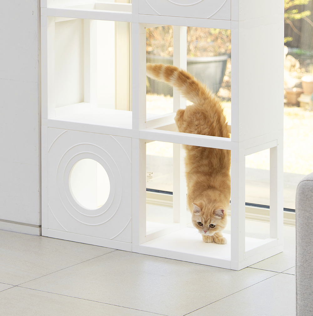 [NEW신상][무료배송] 큐빅스펫 고양이 타워 2x4 멀티 B+ 커버 세트 6color  +스크래쳐1장 포함 23번째