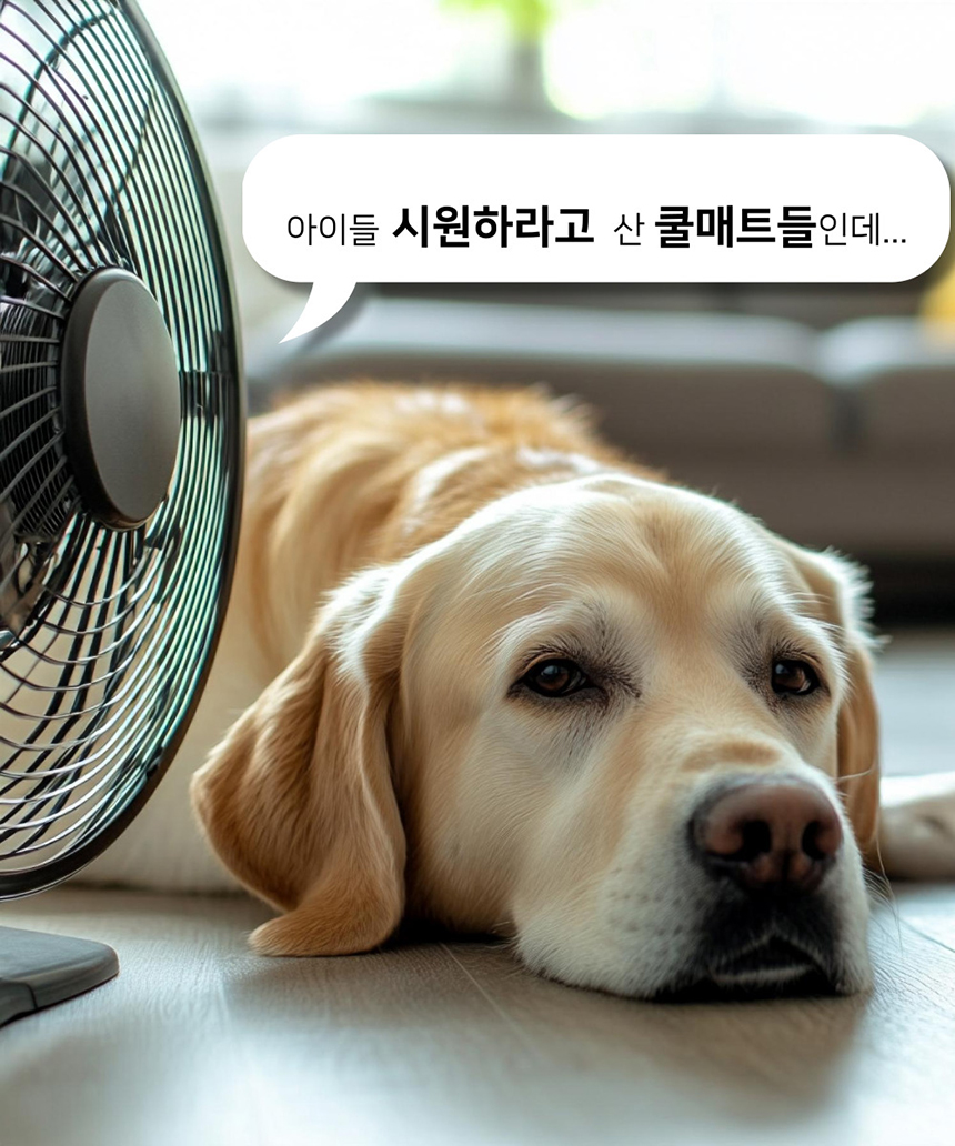 [NEW신상][무료배송] 해피앤퍼피 듀라론 쿨매트 4번째