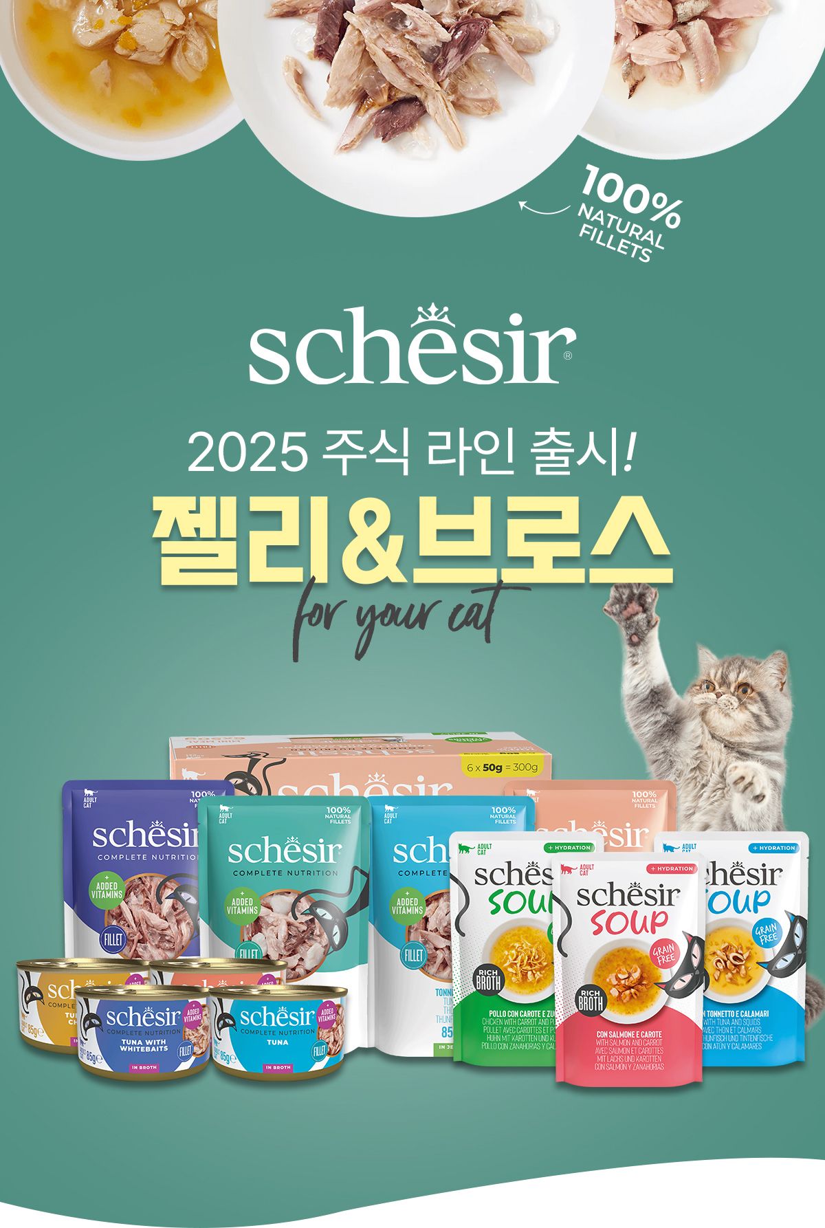 [신상특가] 쉐지애 캣 연어 브로스 주식캔 85g 1번째