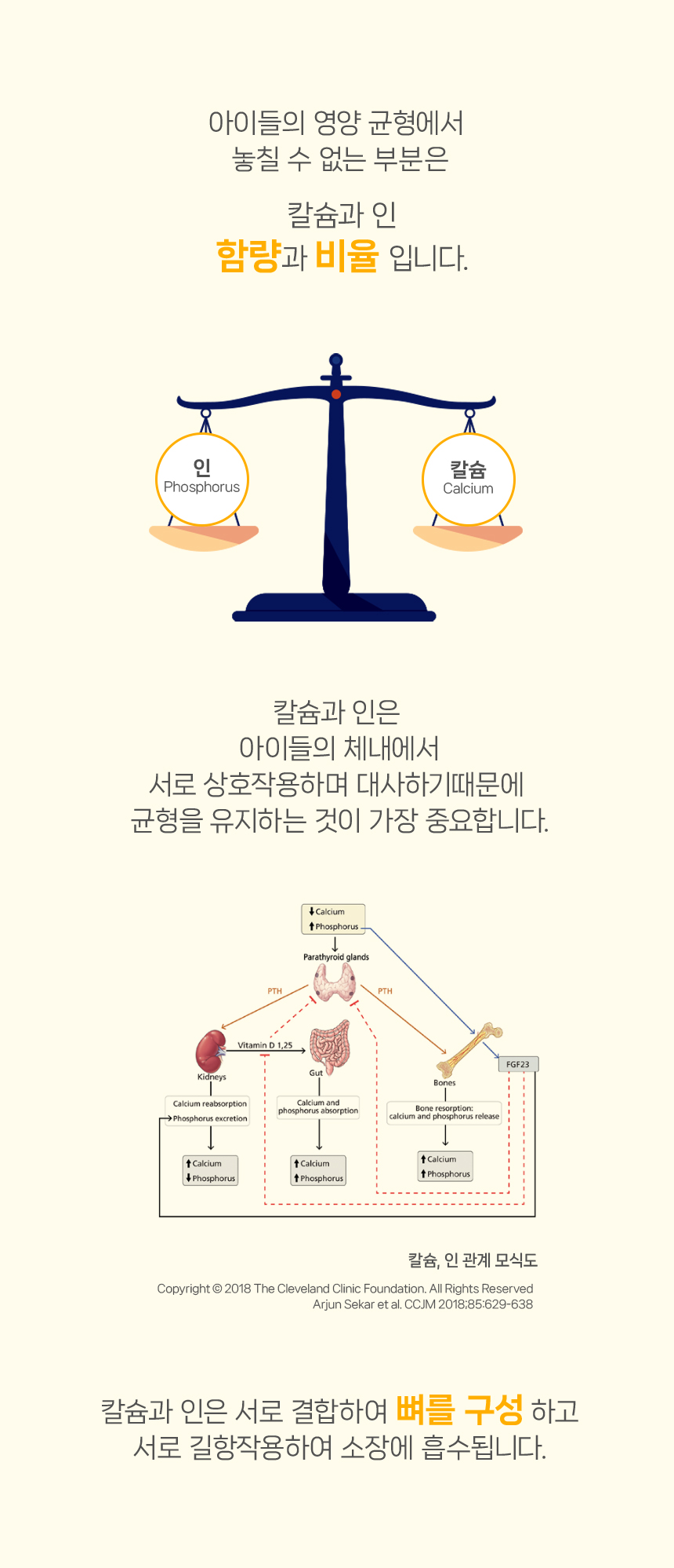 [NEW신상][무료배송] 닥터뉴토 독 리메디케어 미음 오리 120g*10개 13번째