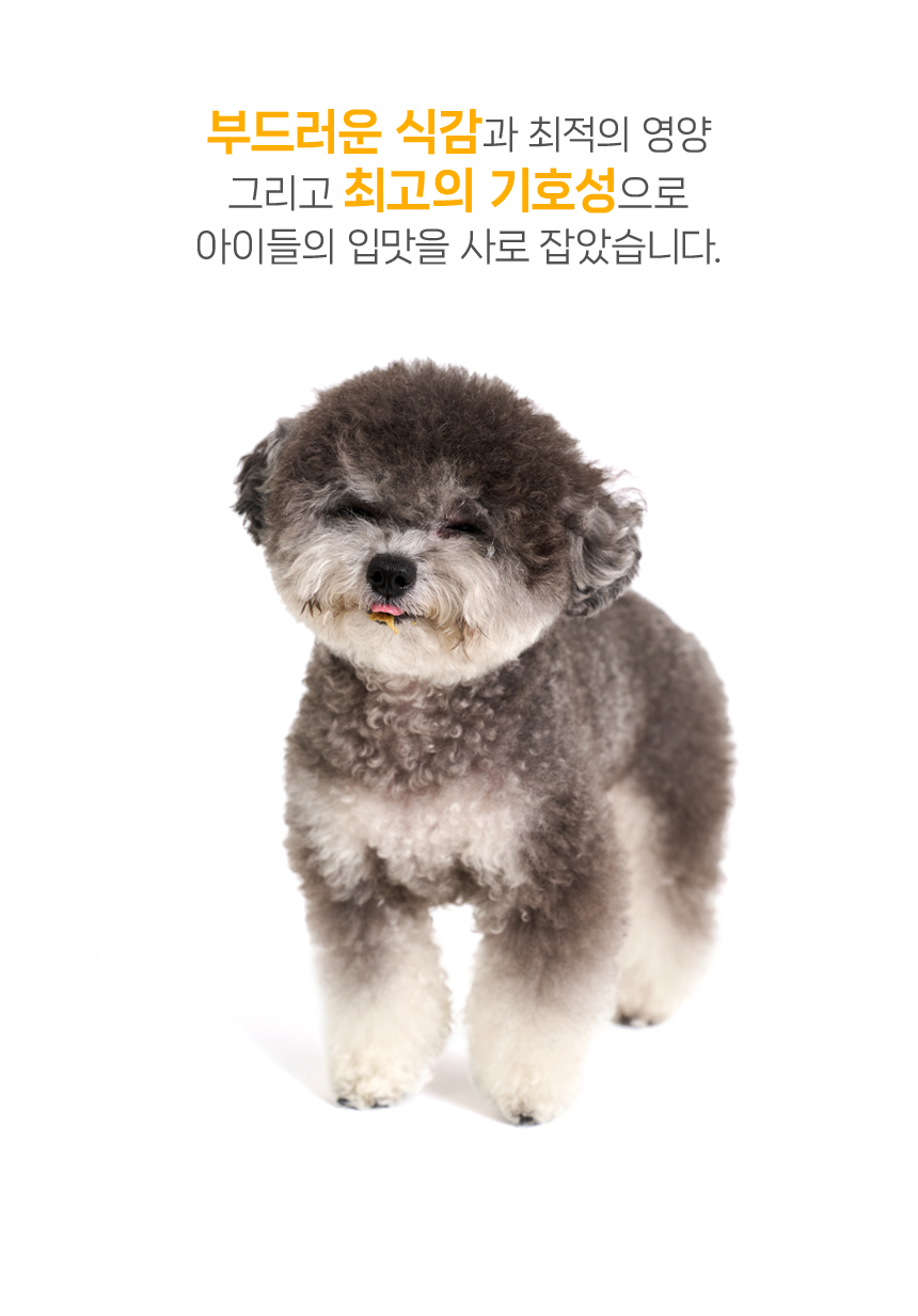 [NEW신상][무료배송] 닥터뉴토 독 리메디케어 미음 오리 120g*10개 8번째