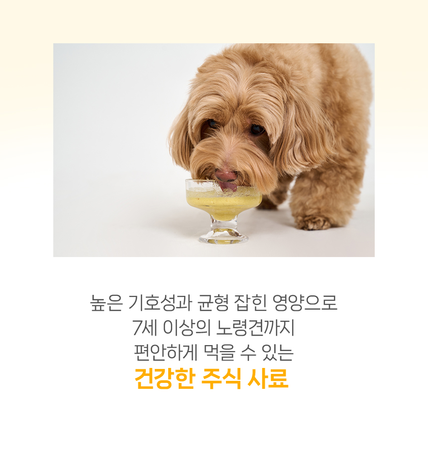 [NEW신상][무료배송] 닥터뉴토 독 리메디케어 미음 오리 120g*10개 4번째