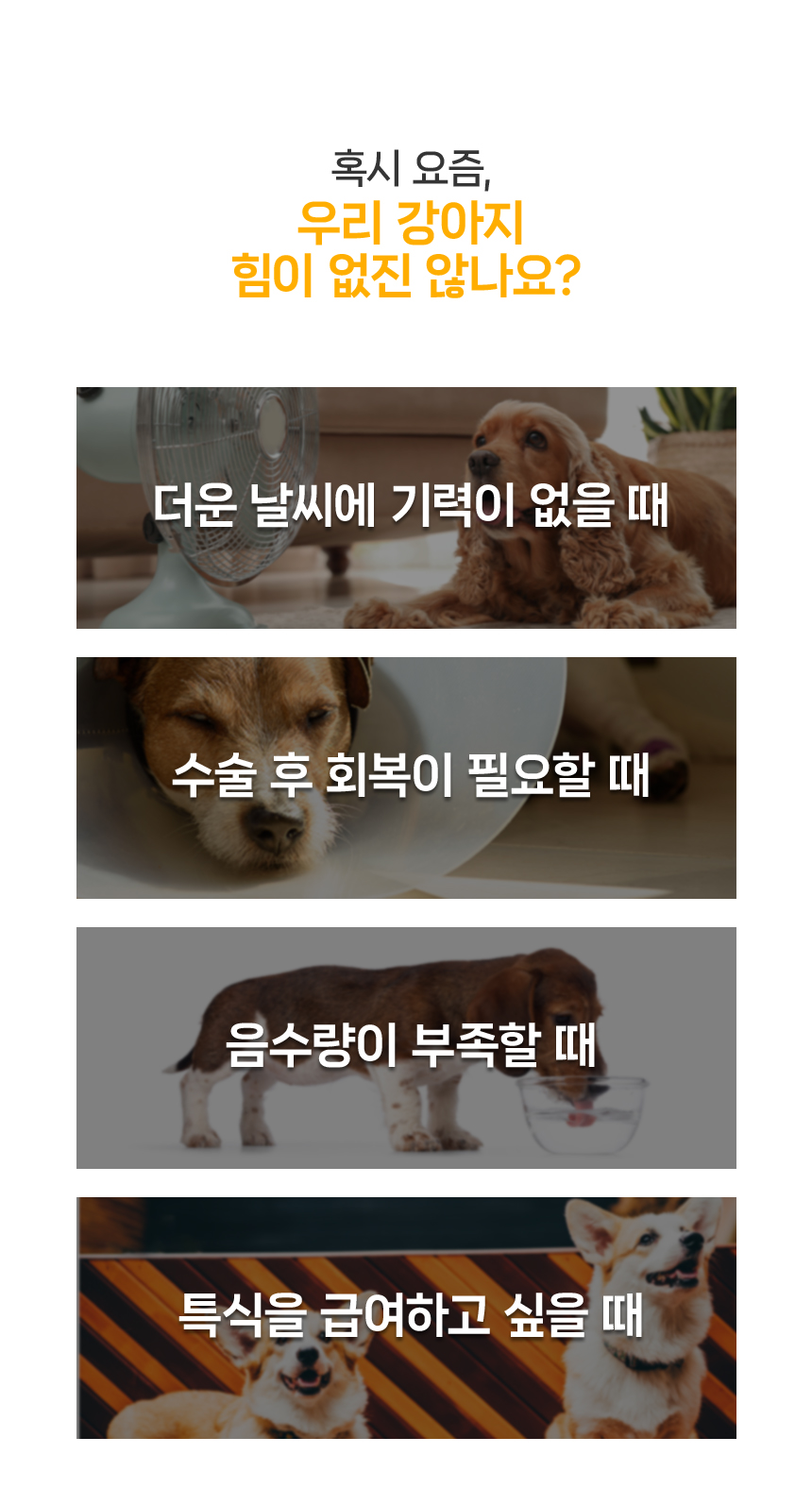 [NEW신상][무료배송] 닥터뉴토 독 리메디케어 미음 오리 120g*10개 7번째