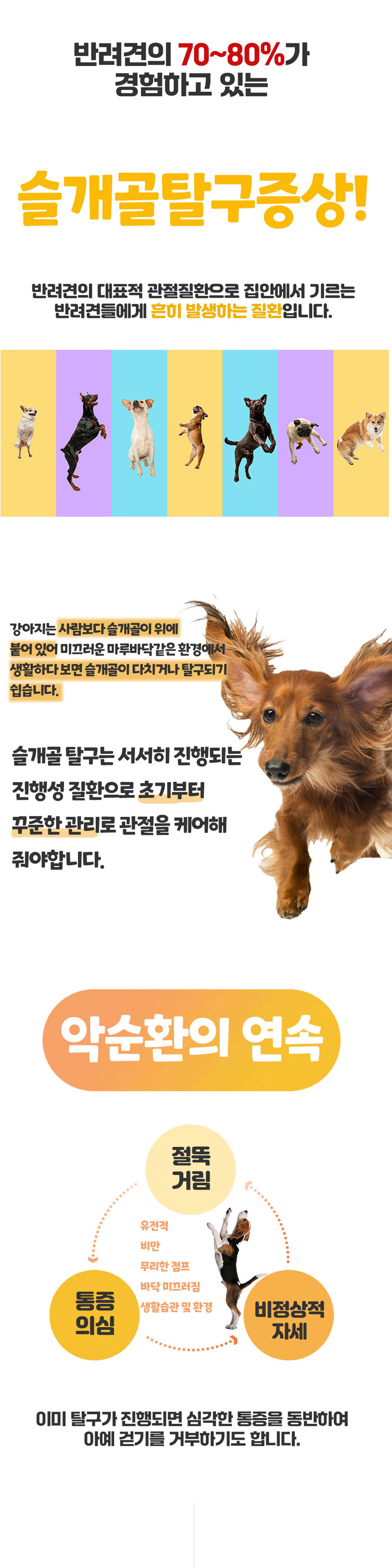 [무료배송] 댕이수랏간 침향 관절쌩쌩 영양제 100g 5번째