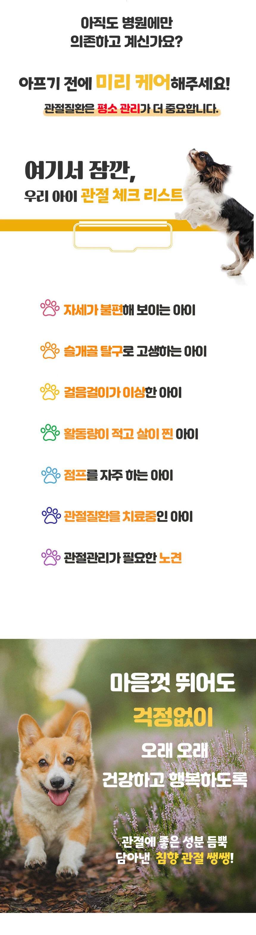 [무료배송] 댕이수랏간 침향 관절쌩쌩 영양제 100g 6번째
