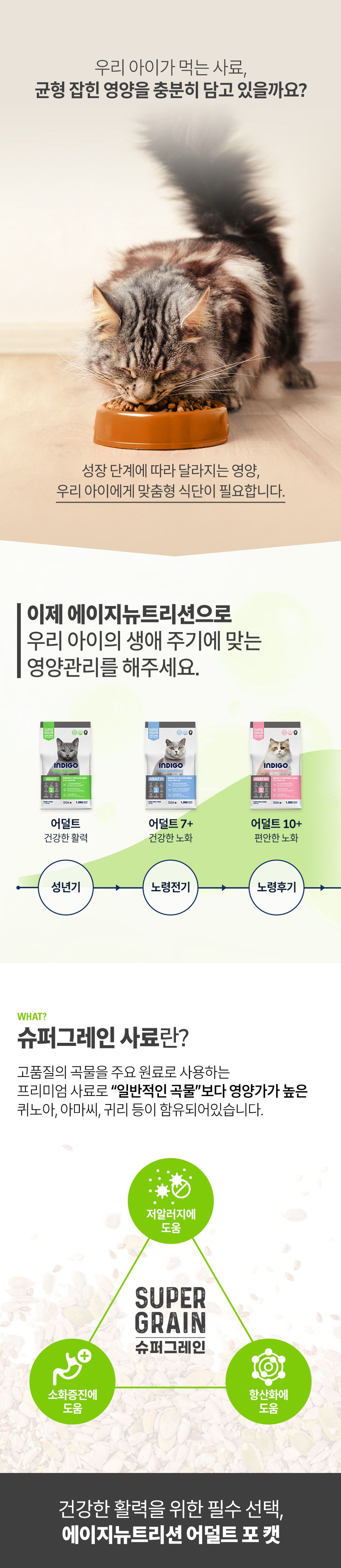 인디고 에이지뉴트리션 어덜트 포 캣 1.2kg 1번째