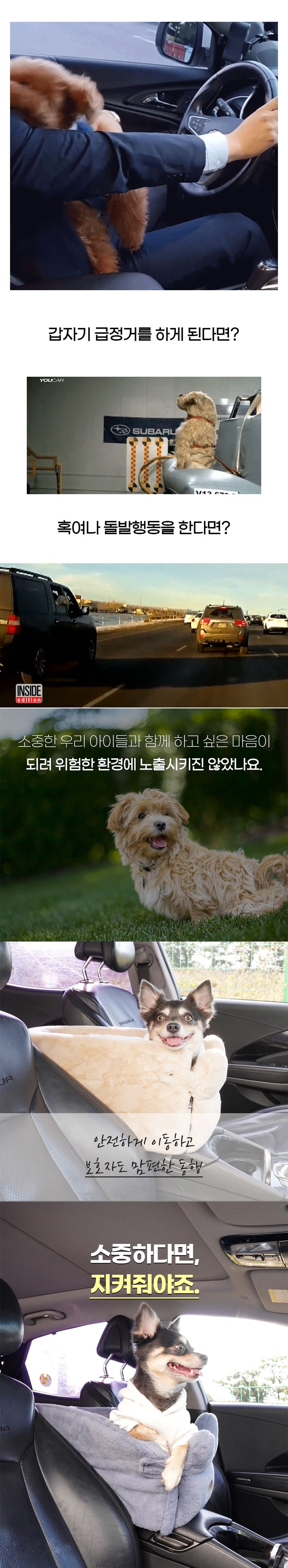 [NEW신상][무료배송] 개과천선 독 밍크 콘솔 카시트 (크림 베이지/애쉬 블루) 3번째