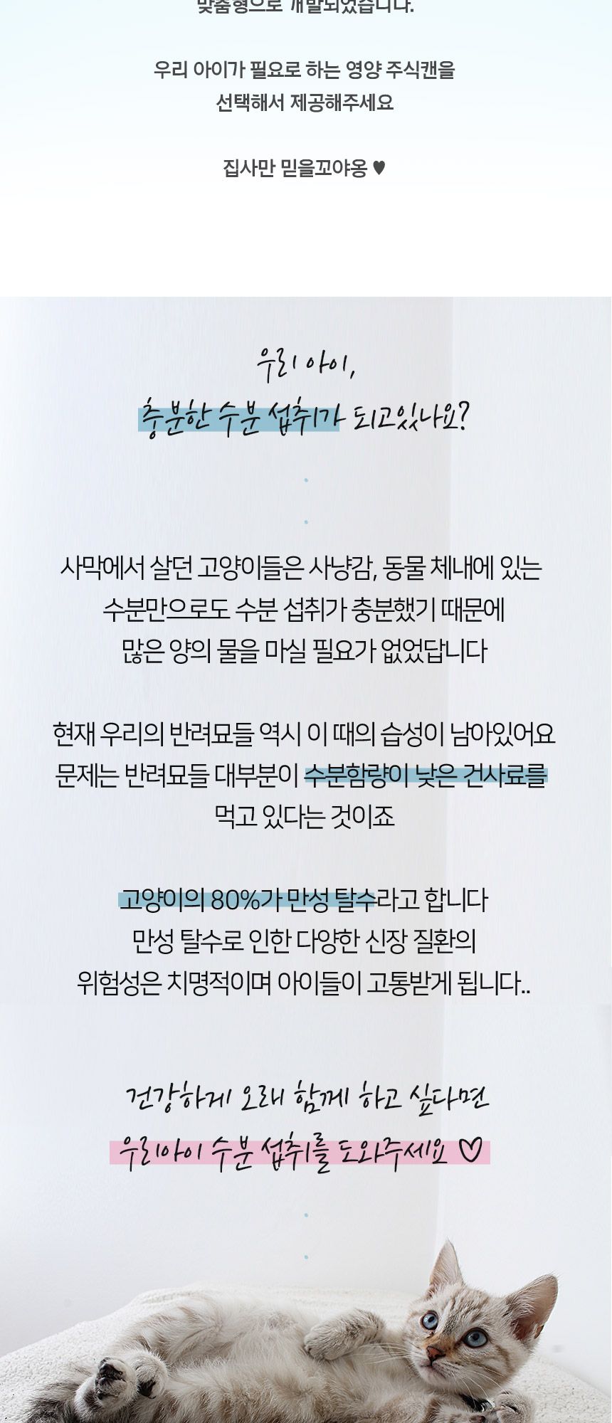 카토빗 캣 펠라인 다이어트 유리너리 참치 85g 7번째