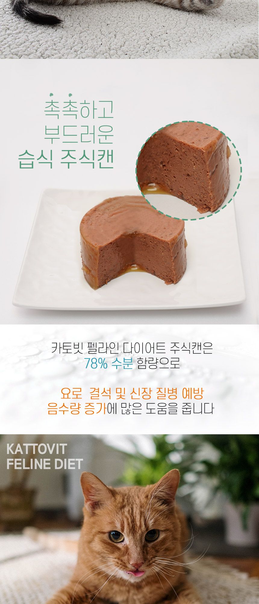카토빗 캣 펠라인 다이어트 유리너리 참치 85g 8번째
