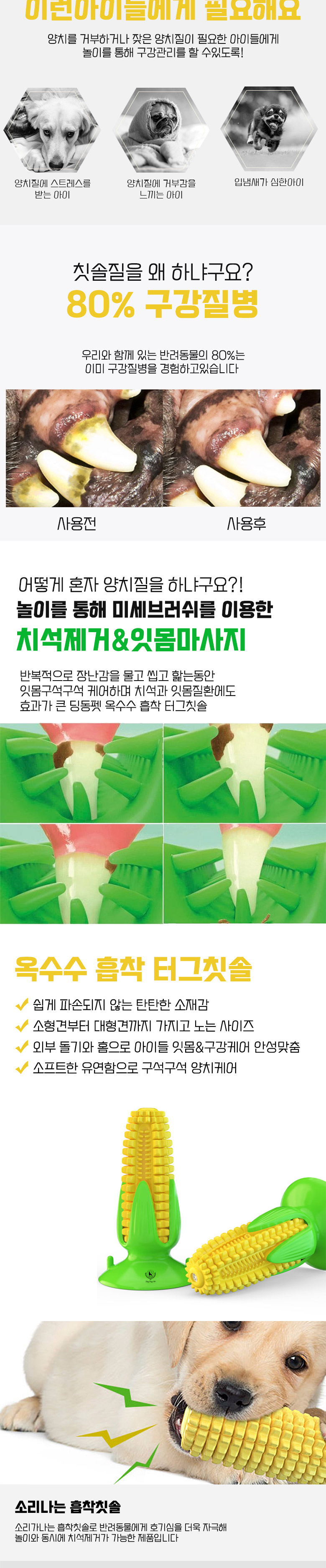 [무료배송] 딩동펫 반려동물 옥수수 흡착터그 칫솔 2번째