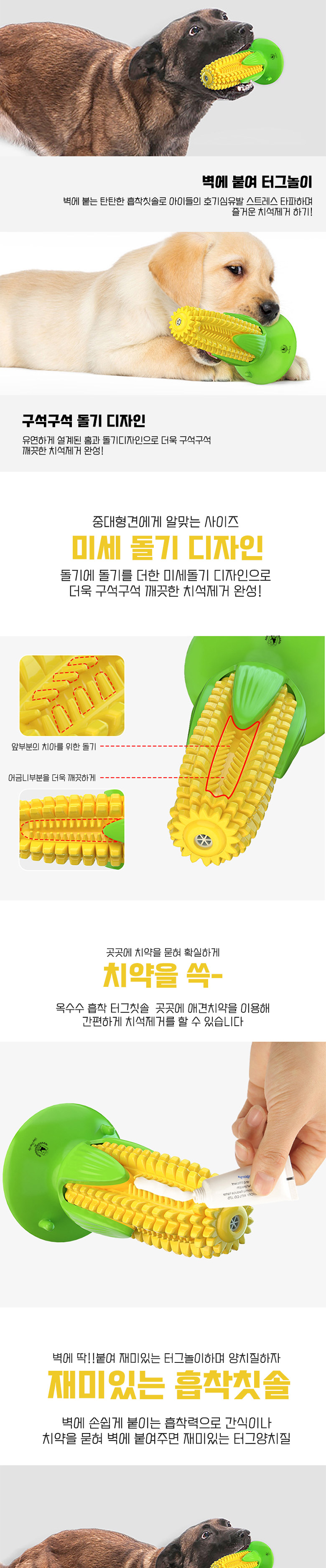 [무료배송] 딩동펫 반려동물 옥수수 흡착터그 칫솔 3번째