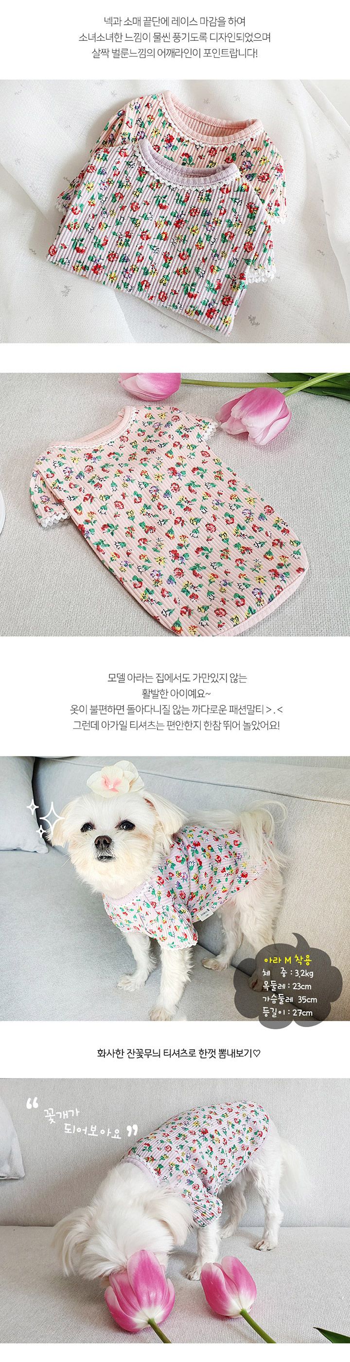 [무료배송] 스카프한 은비 피에스타 티셔츠 핑크/퍼플 M-XL 3번째